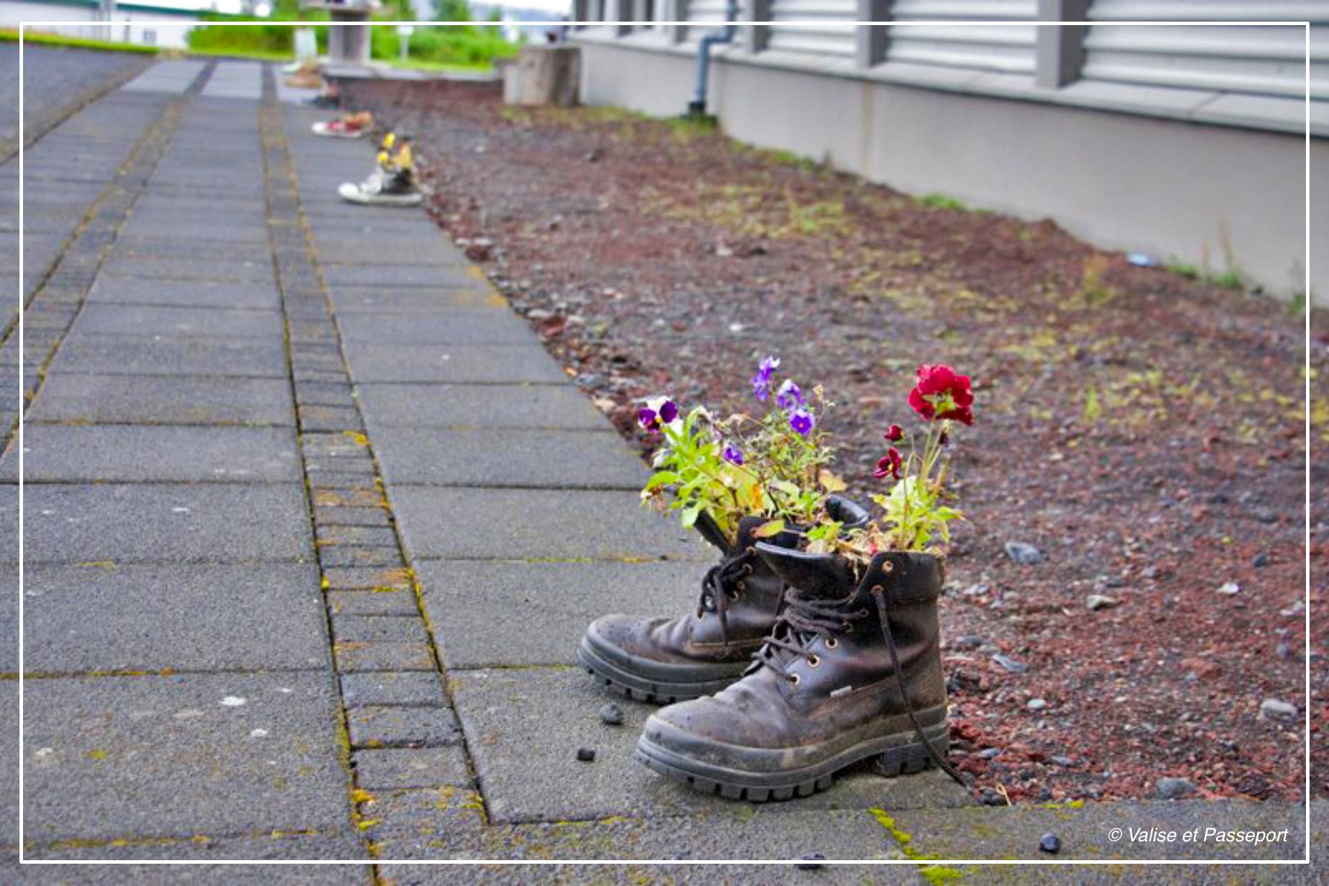islande-2014-chaussure-dans-la-rue-WEB A propos