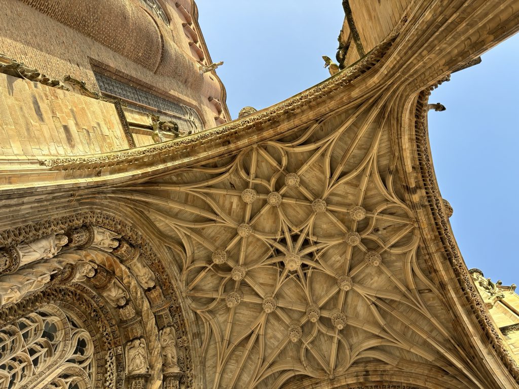 FR-abei-albi-1024x768 La République Française : Ces terres aux multiples facettes