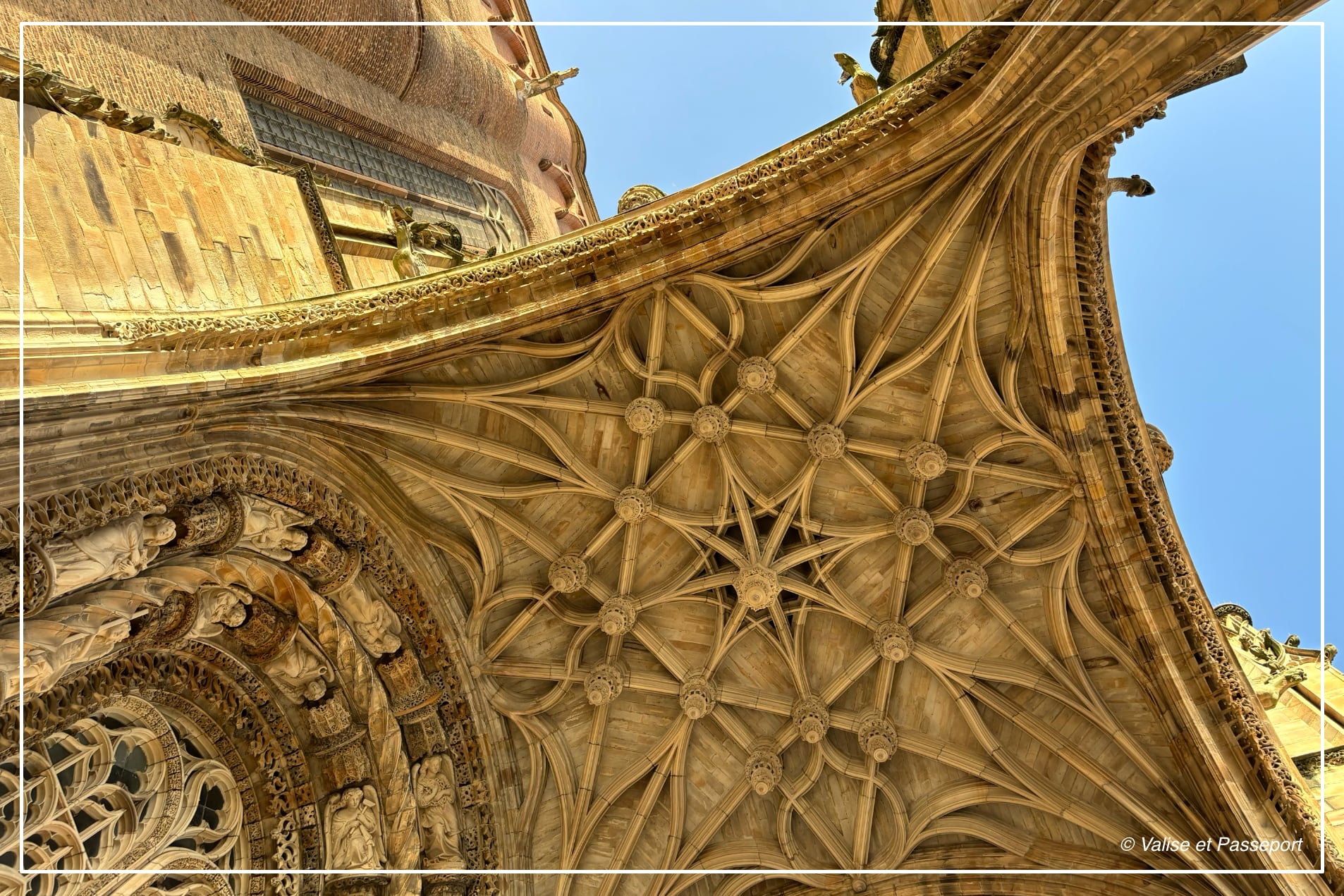 VP-FRANCE-abei-albi-web France