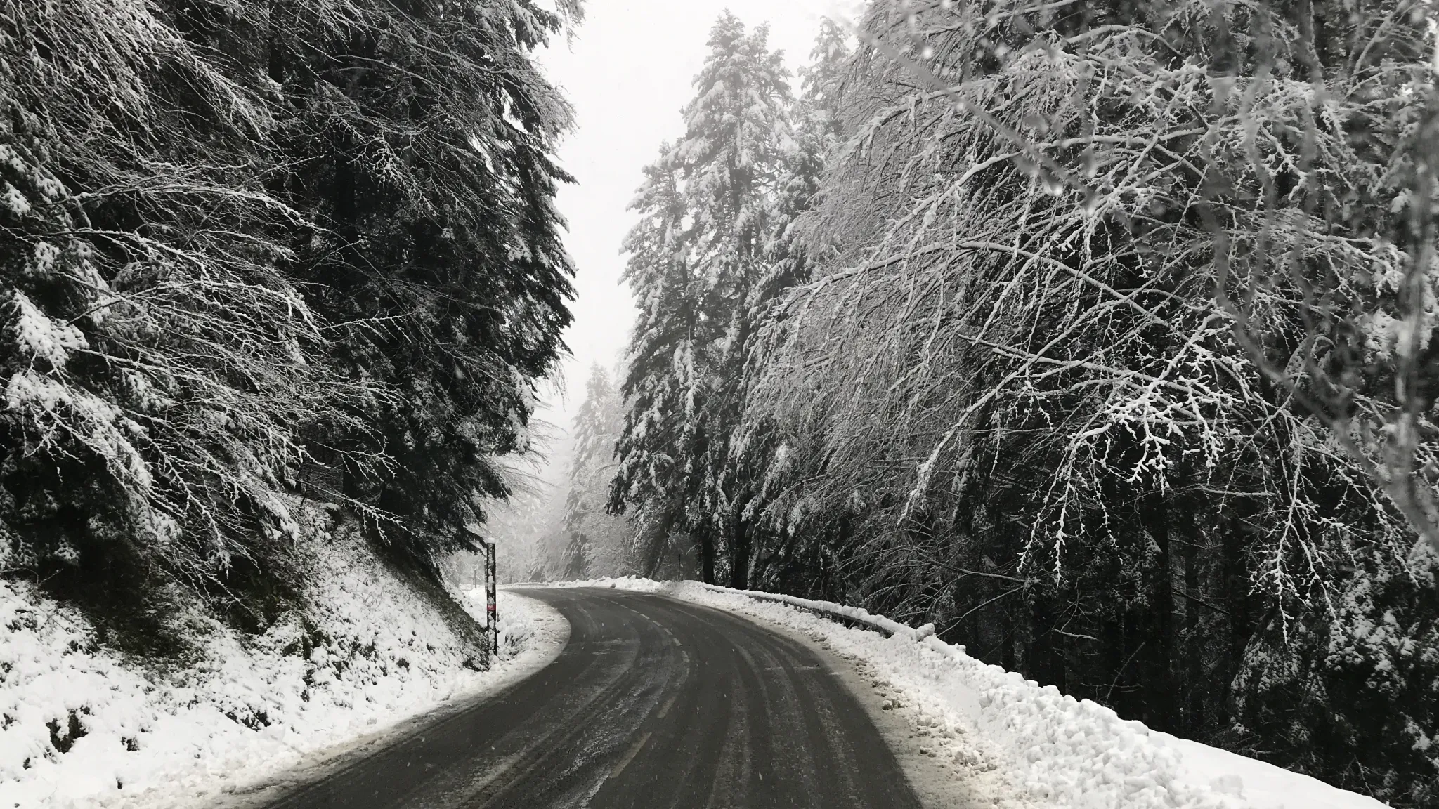 france-arette-le-pierre-saint-martin-janv2024-img_1668.jpg France