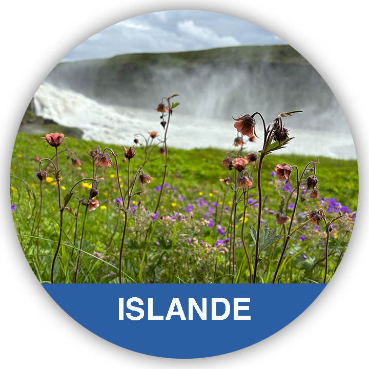 ISLANDE-desitnations-vignettes-rondes-page-accueil Les Pays