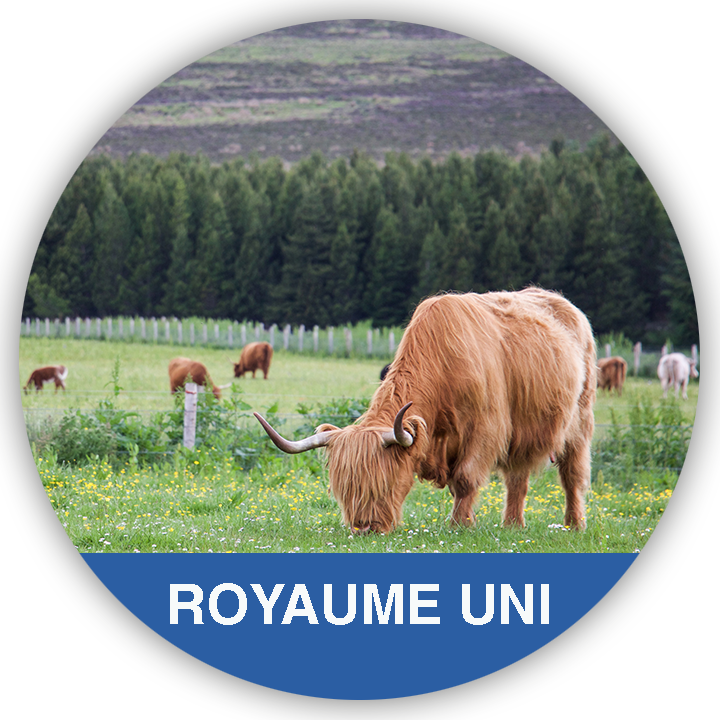 ROYAUME_UNI-desitnations-vignettes-rondes-page-accueil Les Pays