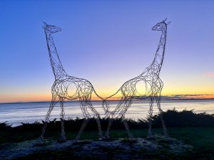 france-meschers-sur-gironde-dec-2024-web-1-300x225 La République Française : Ces terres aux multiples facettes