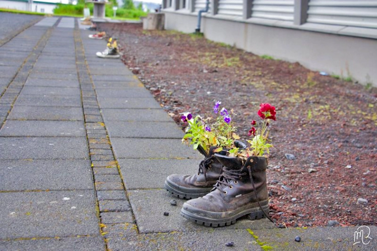 islande-2014-2-curiosite.jpg Bienvenue