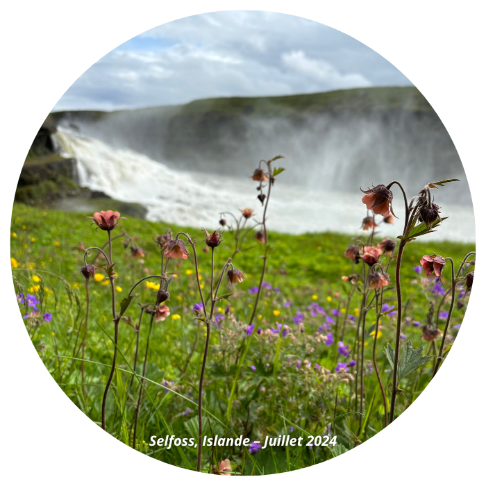 Islande-Selfoss Les Pays