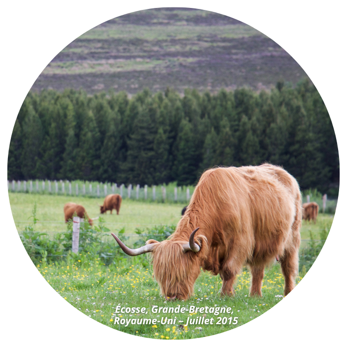 Royaume-uni-ecosse Les Pays