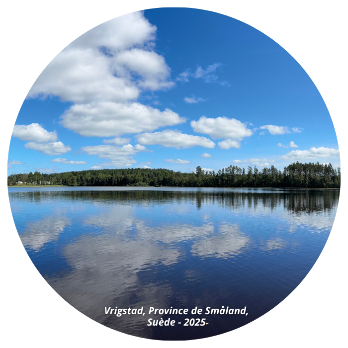 Suede-Vrigstad Les Pays