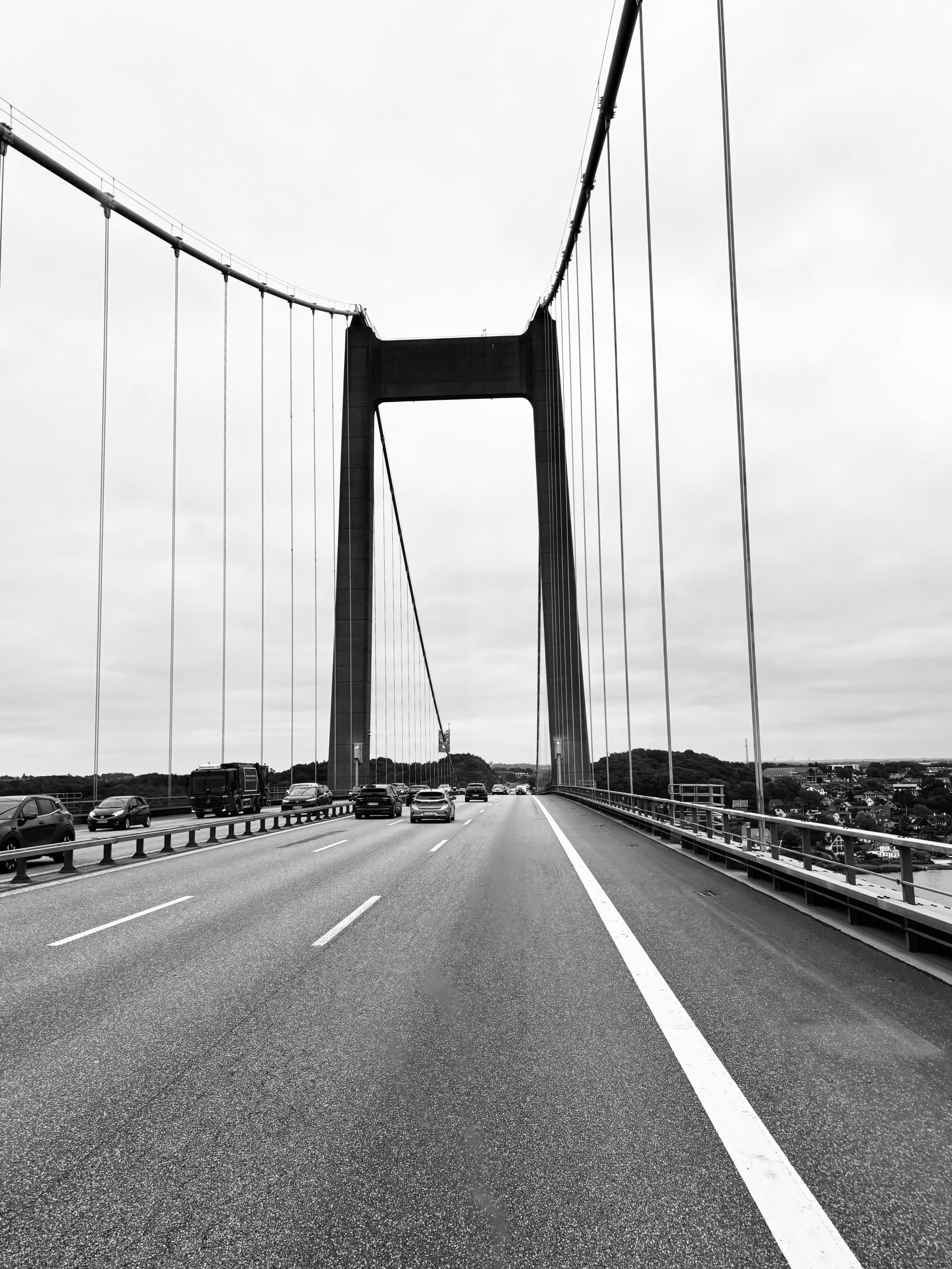 DANEMARK-frederica-vildtreservat-juillet2025-scaled Danemark