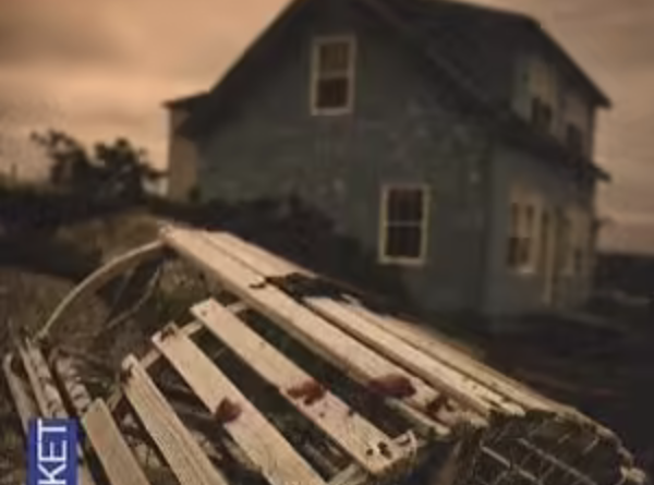 Coup de coeur pour le polar anglais : Blanc comme la nuit