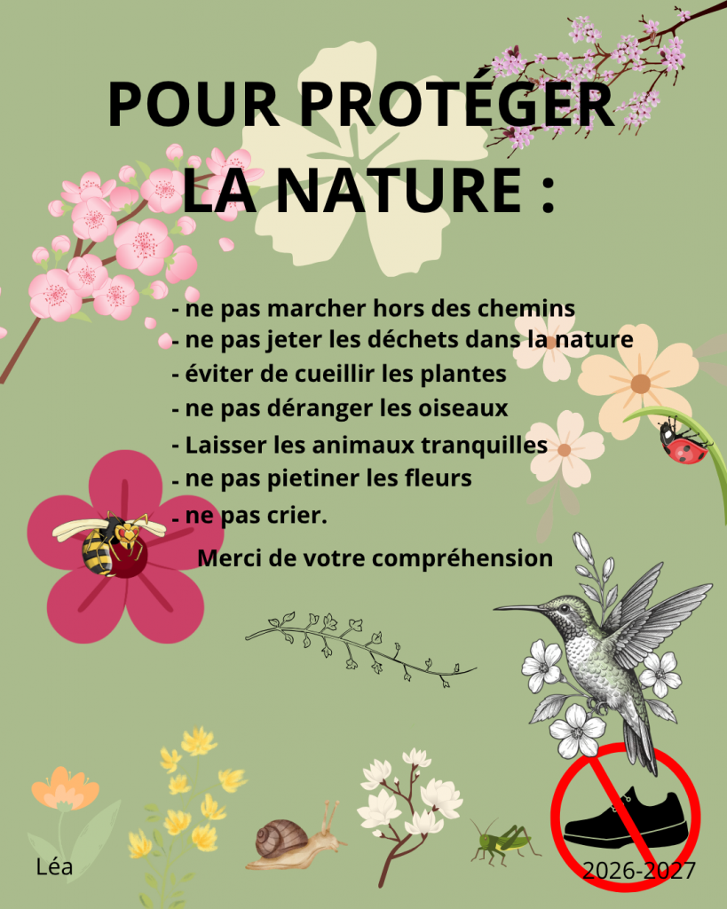 ournee-internationale-de-la-terre-22avril2026-Lea-819x1024 La journée internationale de le terre 🌎