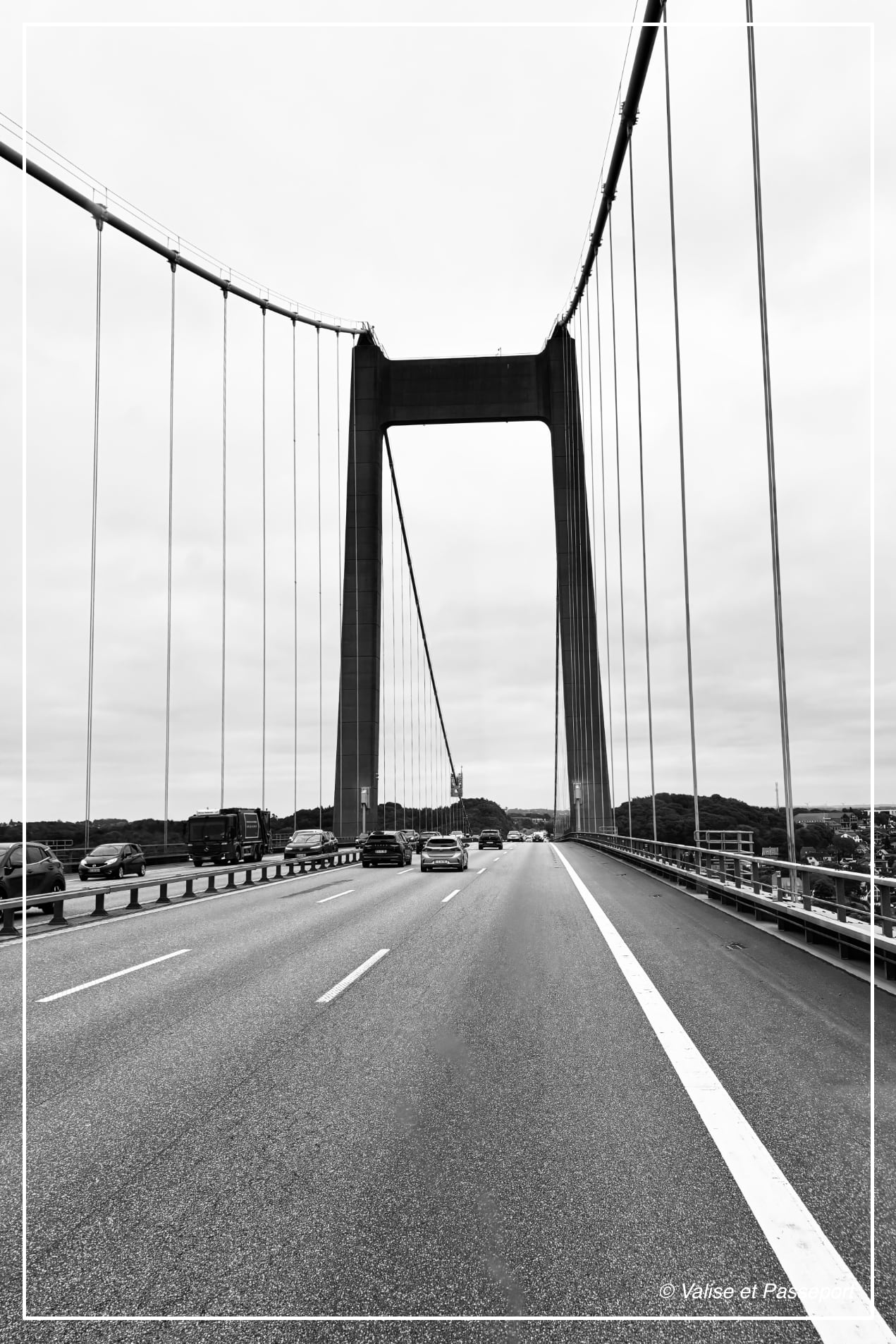 DANEMARK-frederica-vildtreservat-juillet2025-web Danemark