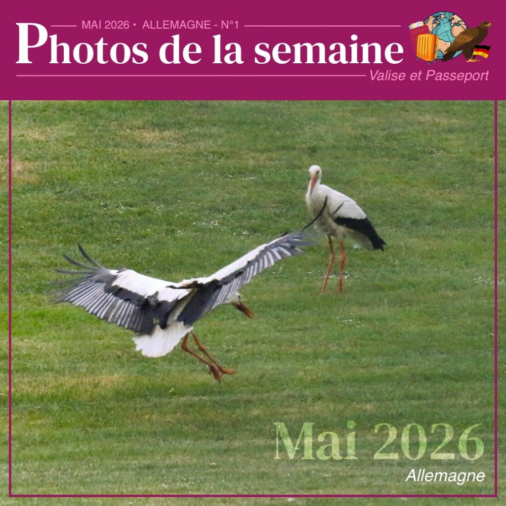 VP-PHOTOS-DE_LA_SEMAINE-04MAI-allemagne1-1-1024x1024 🐌 #4 - Début de notre séjour en Allemagne : entre visites et arrêt au stand 🇩🇪 🚐 👁️