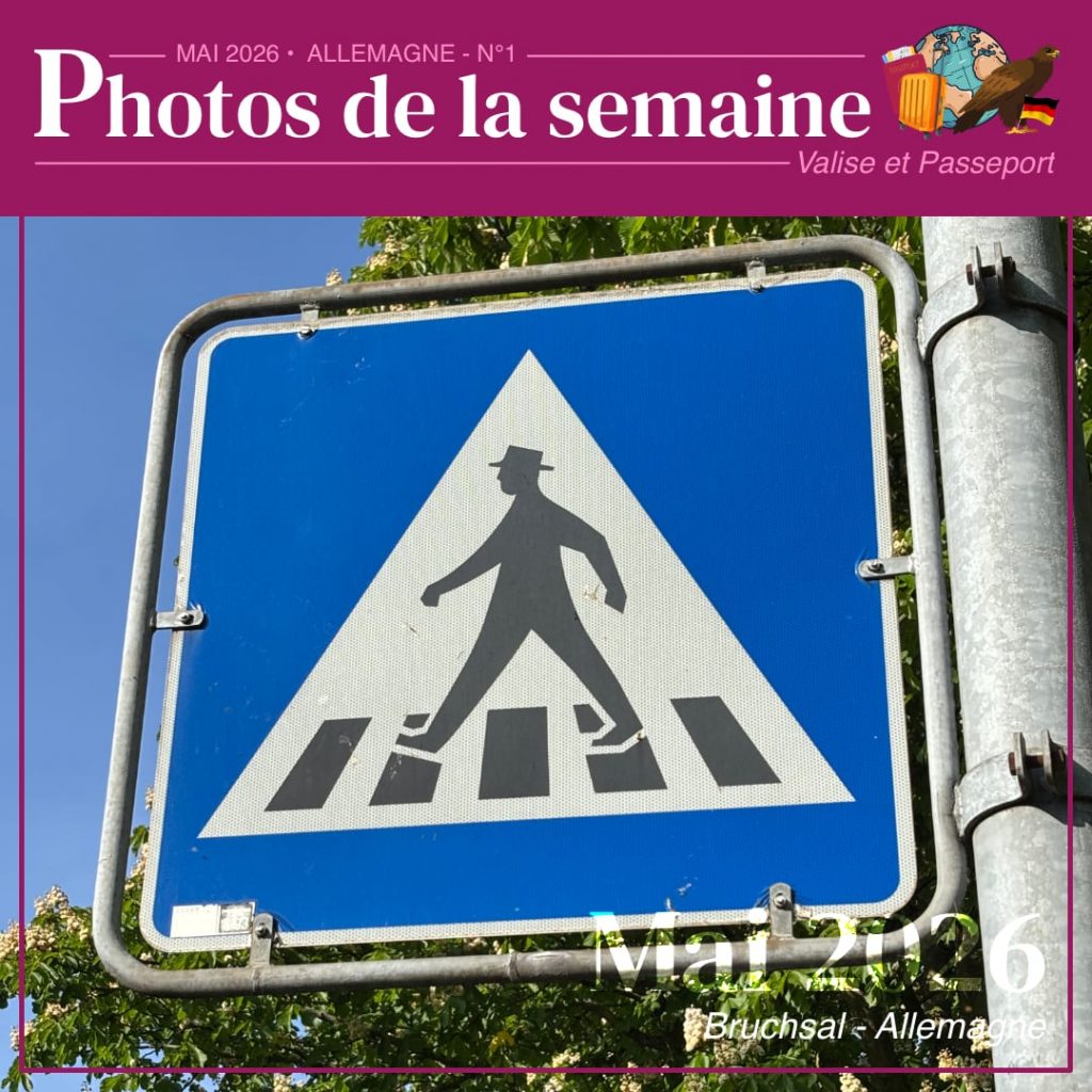 VP-PHOTOS-DE_LA_SEMAINE-04MAI-allemagne1-5-1024x1024 🐌 #4 - Début de notre séjour en Allemagne : entre visites et arrêt au stand 🇩🇪 🚐 👁️