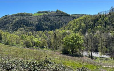 FRANCE-aveyron2026-pano-400x250 accueil
